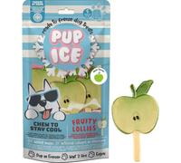 Pup Ice Fruity Lollies Pomme 3x90g