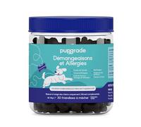 PupGrade Démangeaisons et Allergies pour Chiens - Santé Peau & Soutien Immunitaire avec Huile de Saumon Atlantique - Aide Anti-Démangeaisons - 30 Friandises Molles