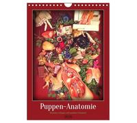 Puppen-Anatomie (Wandkalender 2026 DIN A4 hoch), CALVENDO Monatskalender: Dreizehn Collagen voll morbider Schönheit