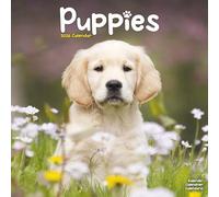 Puppies Calendar 2026 Square Animal Wall Calendar - 16 Month