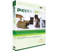 Puppies & Kittens [Import]