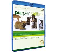 Puppies & kittens (special collector's edition) [Blu-ray]