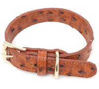 Puppy Angel Collier Angione Ostrich Marron Taille S