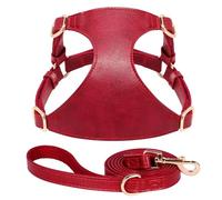 Puppy Dog Walking Harness Lae Set Soft PU Leather Dog Cat Gile Convient À Chihuahua Shiba Inu Yorkshire Terrier Poodle Pug,Rouge,2X
