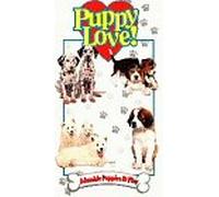 Puppy Love: Adorable Puppies at Play [VHS]