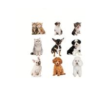 Puppy Safe - Collier Anti Aboiement PuppySafe™(Vert)(Vibration Vert) 6pcs