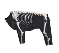 Puppy Skeleton Costume - Small Dog Jumpsuit, Funny Cosplay Apparel, Comfortable 4-Legged Sweatshirt | Modern Design Pet Halloween Outfits for Chihuahua Yorkie Doggy Holiday Party Celebrations
