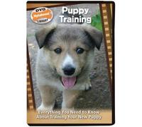 Puppy Training: Everything You Need to Know About Training Your New Puppy