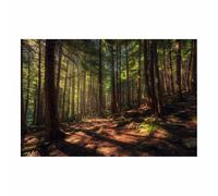 PUQAAEO Impression Sur Toile Paysage de la Image Sur Art du bosquet enchanté Toile Peintures Sur Toile Mural Tableau Decor Murale Salon Chambre(Multicolore)-30x45cm Sans cadre