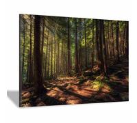 PUQAAEO Impression Sur Toile Paysage de la Image Sur Art du bosquet enchanté Toile Peintures Sur Toile Mural Tableau Decor Murale Salon Chambre(Multicolore)-60x90cm Encadrée