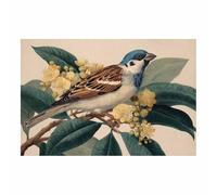 PUQAAEO Impression Sur Toile Paysage de la Image Sur Illustration d’oiseaux anciens Toile Peintures Sur Toile Mural Tableau Decor Murale Salon Chambre(Multicolore)-40x60cm Sans cadre