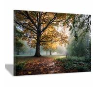 PUQAAEO Impression sur Toile Piscine du bosquet enchanté - Paysages de Décoration Murale pour Chambre Peintures à l'huile pour Maison Bain Salon(Multicolore)-60x90cm Encadrée