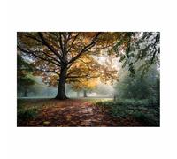 PUQAAEO Impression sur Toile Piscine du bosquet enchanté - Paysages de Décoration Murale pour Chambre Peintures à l'huile pour Maison Bain Salon(Multicolore)-30x45cm Sans cadre