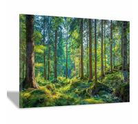 PUQAAEO Impression sur Toile Vue alpine de la Sierrae - Paysages de Décoration Murale pour Chambre Peintures à l'huile pour Maison Bain Salon(Multicolore)-40x60cm Encadrée