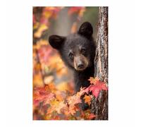 PUQAAEO sur Toile Animal Photos d'œuvres d'art Bear CUB pour Le Bureau à Domicile Décoration Moderne Peinture Murale d'art l'image imprimée(noir)-40x60cm Sans cadre
