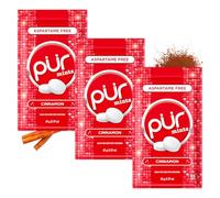 PUR Mints | Bonbons à la menthe sans aspartame | Au xylitol | Sans sucre, vegan, sans gluten | Saveur naturelle de cannelle | 65 pièces dans un sachet refermable (Paquet de 3)