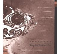 Puracane - Things You Should Leave..