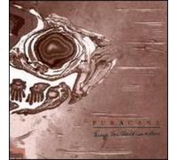 Puracane - Things You Should Leave Alone