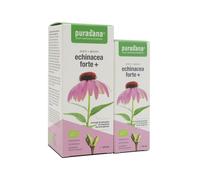 Purasana® Echinacea Forte Bio Solution(S) 1 pc(s)