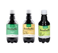 Purasana Pack Découverte Boisson Kombucha au Goût Gingembre, Nature et Matcha 3x330 ml