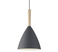 PURE 20 Suspension Gris E27 max 40W - Design For The People by Nordlux 43293010