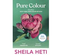 Pure Colour: the new novel from the author of Motherhood and How Should A Person Be?