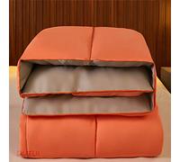 Pure Cotton Duvet Spring Autumn and Winter Thick Goose Down Gift Ecological White Goose Down is Clean Odor-Free Soft and Silent Anti-Drilling Down Fabric 150X200CM 6 (6)