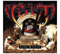 Pure Cult the singles 1984 1995 Vinyle