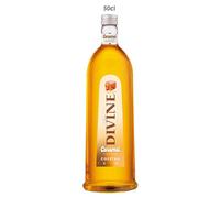 Pure Divine - Tasty Caramel Cocktail - Liqueur aromatisée à base de vodka - 15 pourcent vol (1 x 0,50 l)