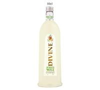 Pure Divine - Tasty Ginger Mule Cocktail - Liqueur aromatisée à base de vodka - 15 pourcent vol (1 x 0,50 l)