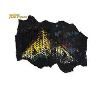 Pure, Impure (Expanded Edition) [輸入盤2LP / 2025年リマスター盤] (PURE378LP)_2438 [Analog]