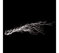 Pure Noise-Expériences de Vol 7