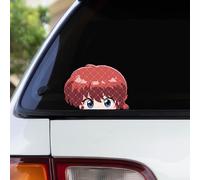 Pure Print Cut Ranma ½ Peeker - Lot de 2 autocollants Anime Classic Fanart - Imperméables et résistants aux UV - 12 x 9 cm - Pour voiture, ordinateur portable et décoration rétro Otaku