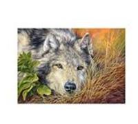 Pure Soul, Puzzle 500 Teile - Castorland multicolore G
