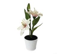PureBowlic Lys artificiel en pot avec 2 fleurs et feuilles, 24 cm, fleurs artificielles dans un pot en osier pour décoration de maison, bureau, mariage, composition florale synthétique basse (blanc