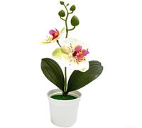 PureBowlic Orchidée Phalaenopsis réaliste en plastique 25 cm | Pétales et feuilles réalistes, élégance naturelle, pas besoin d'arrosage, 25 cm de hauteur, construction en plastique (vert +