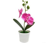 PureBowlic Orchidée Phalaenopsis réaliste en plastique 25 cm | Pétales et feuilles réalistes, élégance naturelle, pas besoin d'arrosage, 25 cm de hauteur, construction en plastique (rose