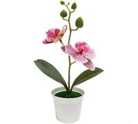 PureBowlic Orchidée Phalaenopsis réaliste en plastique 25 cm | Pétales et feuilles réalistes, élégance naturelle, pas besoin d'arrosage, 25 cm de hauteur, construction en plastique (rose à