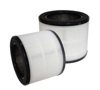 PUREBURG AIRMEGA 100 Lot de 2 filtres de rechange compatibles avec purificateur d'air Coway Airmega 100, charbon actif H13 en 3 étapes
