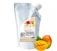 ScrapCooking - Purée de Mangue 500 g - Purée de Fruits pour Pâtisserie - Macarons, Mousses, Gelées, Gâteaux, Ganaches, Nappages, Coulis, Glaces, Smoothies, Cocktails - Fabriqué en France - 4762