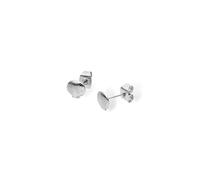 Purelei Boucles d'oreilles en forme de coquillage pour femme, boucles d'oreilles en acier inoxydable en forme de coquillage, petites boucles d'oreilles maritimes pour l'été, la plage, les vacances et