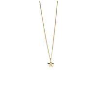 Purelei Chaîne étoile - Imperméable et réglable - Pendentif étoile scintillante avec zircone - Acier inoxydable et plaqué or 14 K/18 carats - Symbole de connexion, de cohésion et de votre lueur