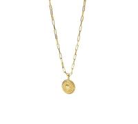 Purelei Nomad Coin Chaîne pour homme - Collier distinctif en acier inoxydable avec pendentif en relief - Plaqué or 18 carats ou argent - Réglable (50/55 cm) - Bijou déclaration pour homme, Länge: 50