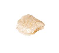 Purelei® Seafoam Pince à cheveux en forme de coquillage - Grande pince à cheveux avec design nacré, lignes dorées et inspiration nautile - Beige/vert acétate - 84,3 x 59 mm, 32,3 g (beige)