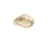 Purelei® Seafoam Pince à cheveux en forme de coquillage - Grande pince à cheveux avec design nacré, lignes dorées et inspiration nautilus - Beige/vert acétate - 84,3 x 59 mm, 32,3 g (vert)