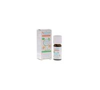 Puressentiel Huile essentielle Camomille allemande BIO – Contribue à la relaxation – 5 ml
