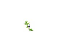 Puressentiel Huile Menthe Poivree 30ml