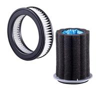 PURexpert Kit de filtre de rechange réutilisable et lavable pour aspirateur sans fil Eureka Swan