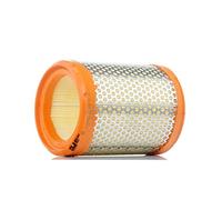 PURFLUX A973 Filtre à air du moteur Cartouche filtrante