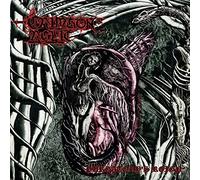 Purgatory'S Reign